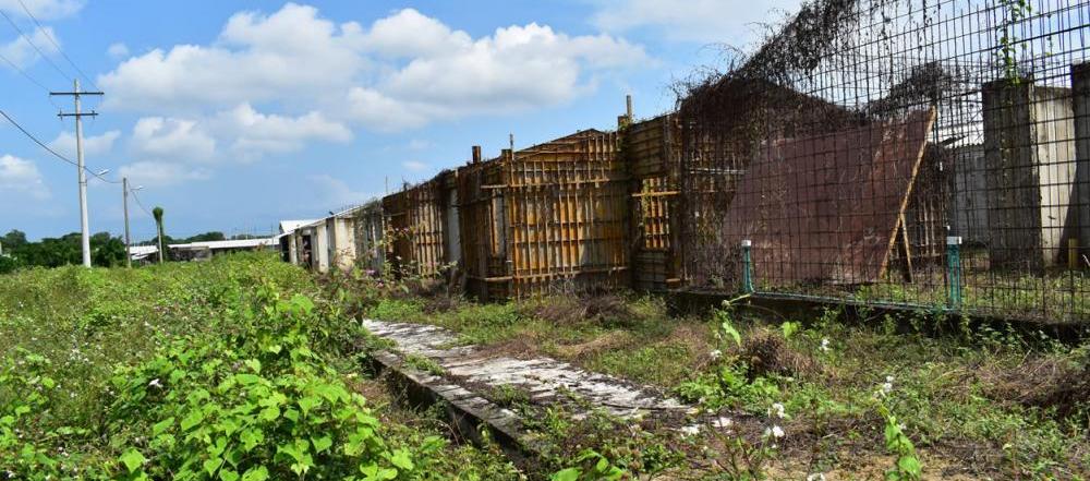 Imagen de referencia.