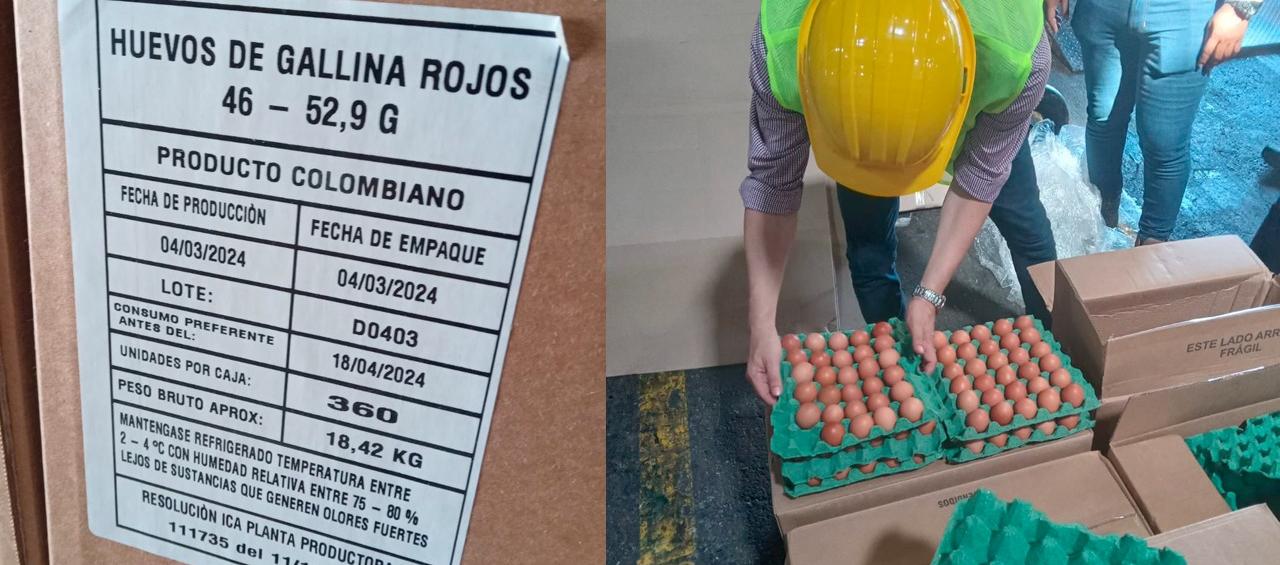 La primera exportación de huevos a Cuba salió ayer lunes.