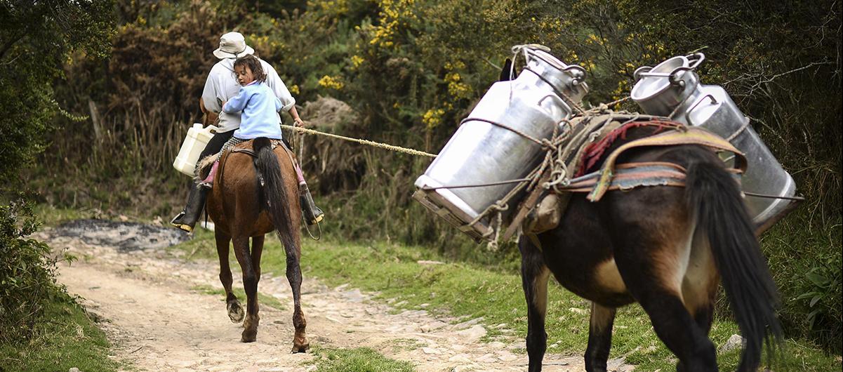 Productores rurales de leche