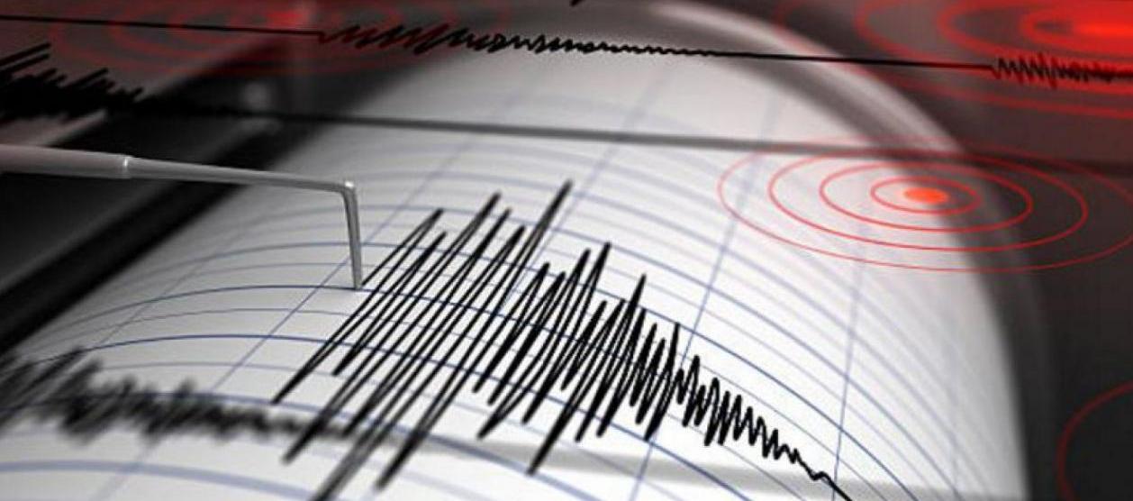 Imagen de referencia.