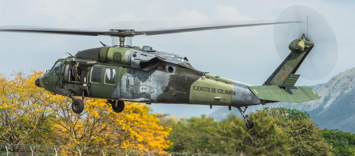 Imagen de referencia.