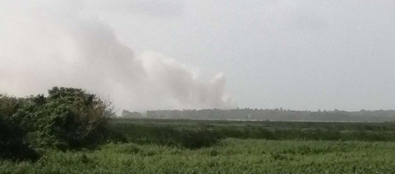 Quema en parque Isla Salamanca.