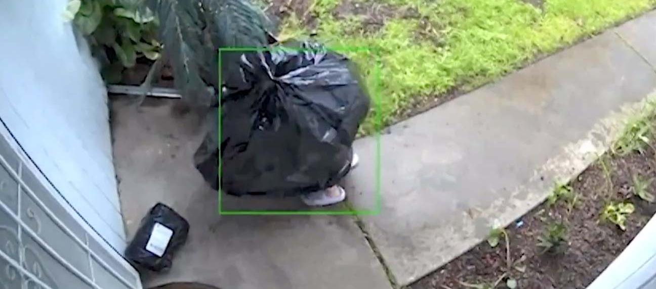 El dueño del paquete revisó las cámaras de seguridad y se dio cuenta que había sido robado.