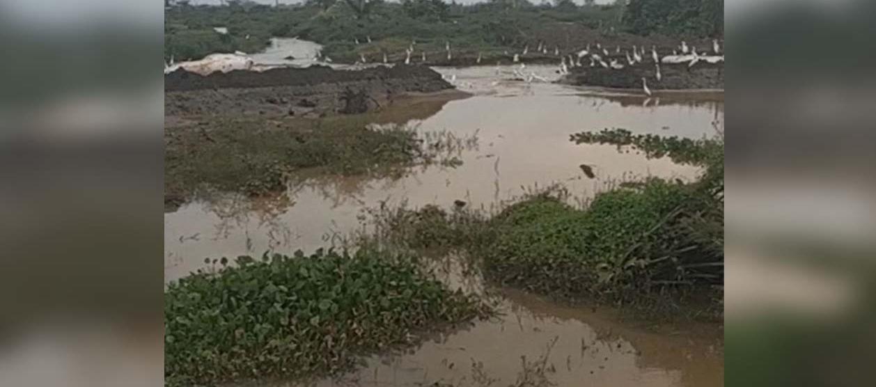 Las filtraciones en territorio de La Mojana a la altura de 'Caregato'