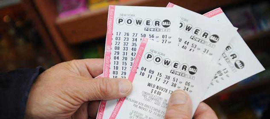 Imagen de referencia.