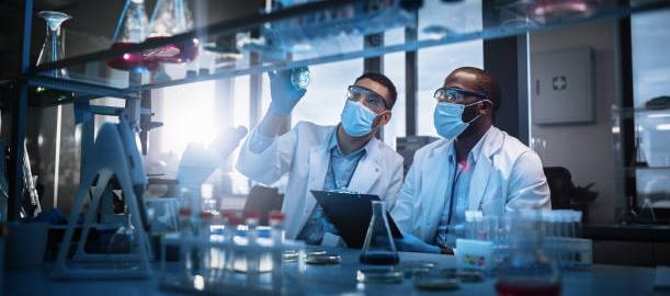 Equipo de científicos de la Universidad de Kobe crean un plástico biodegradable. 