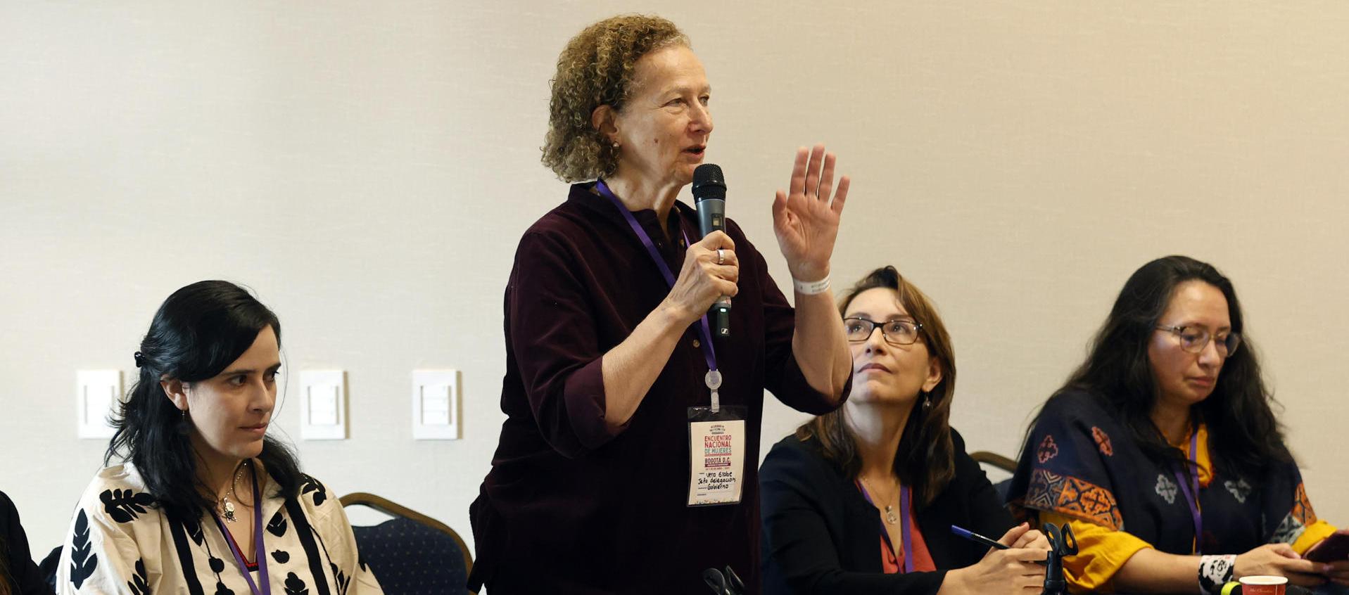 Vera Grabe, Jefa Negociadora del Gobierno Nacional