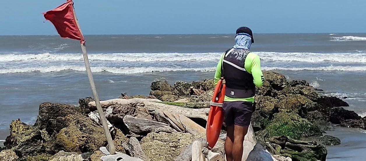 Imagen de referencia.