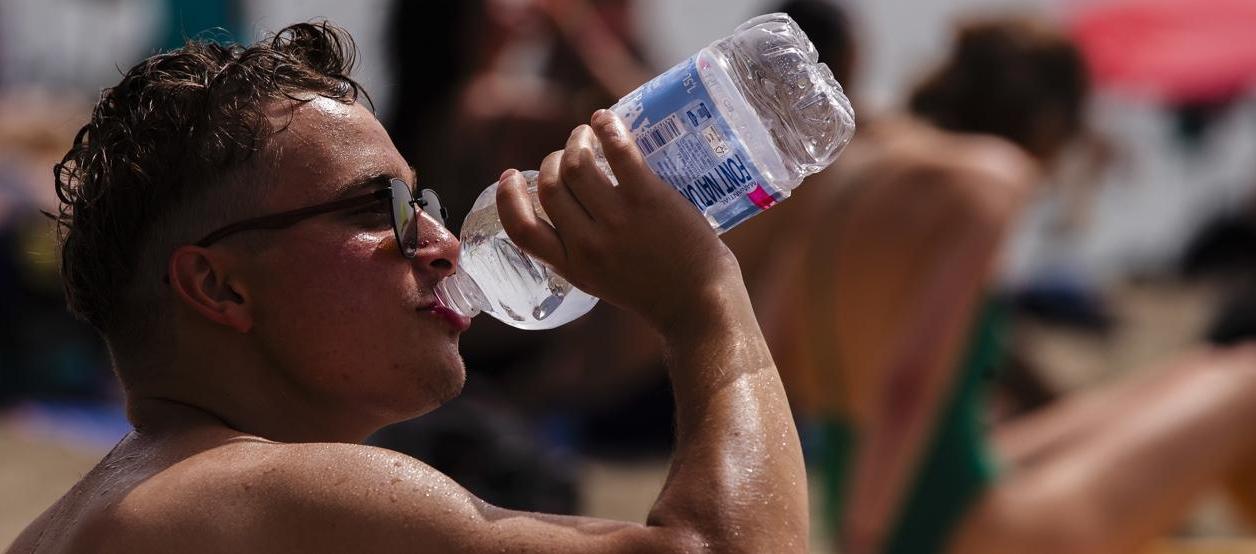  Imagen de referencia.