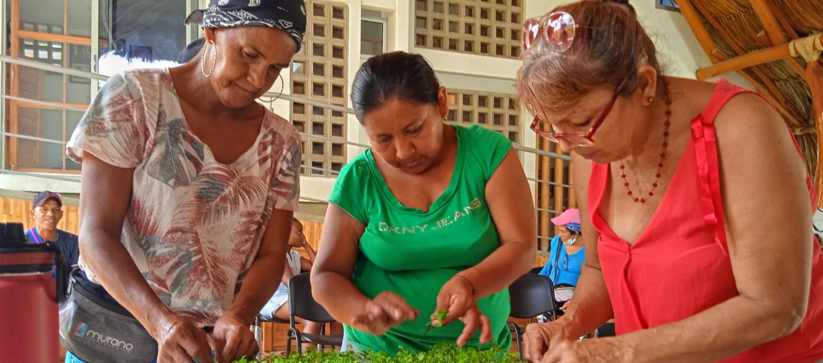 Huertas comunitarias en el barrio La Paz. 