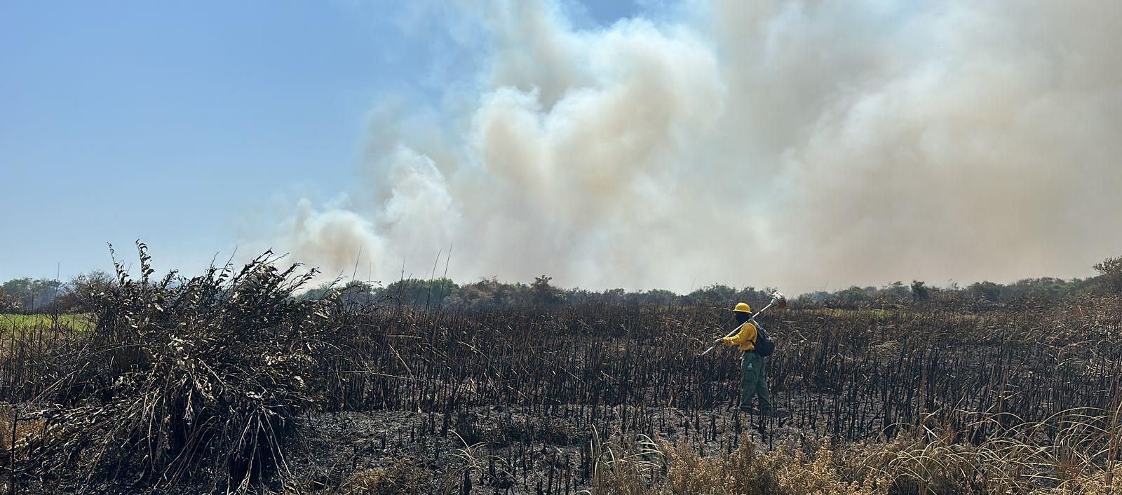 Entidades atienden el incendio forestal.