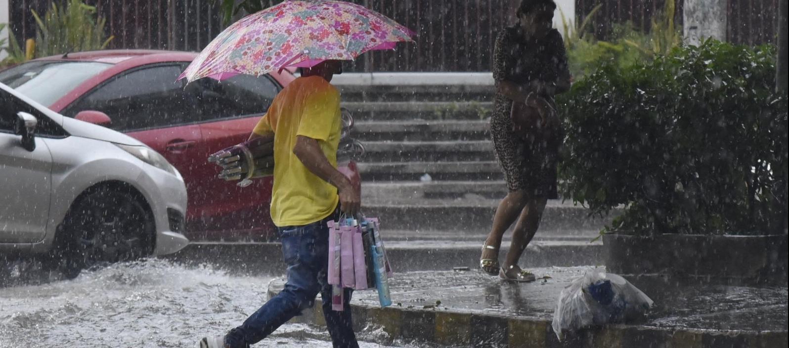 Imagen de referencia.