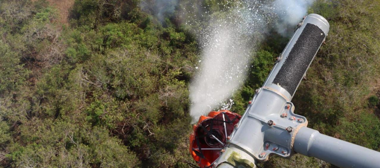 Imagen de referencia.