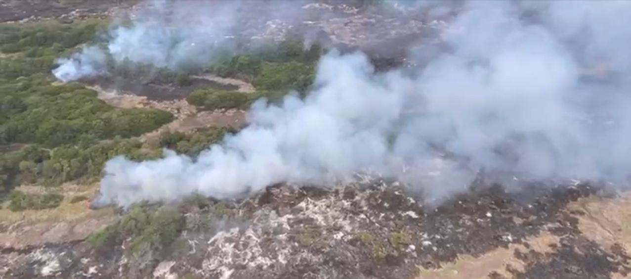 Toma aérea del incendio en el Parque Isla Salamanca.