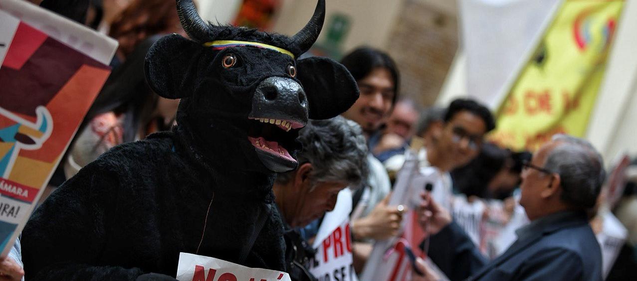 La plenaria de la Cámara de Representantes de este martes