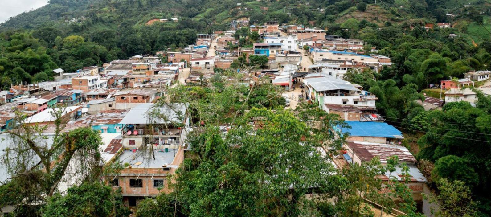 Imagen de referencia.