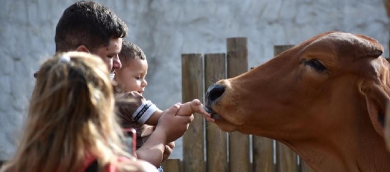 Visitantes disfrutan de los animales del Zoológico.