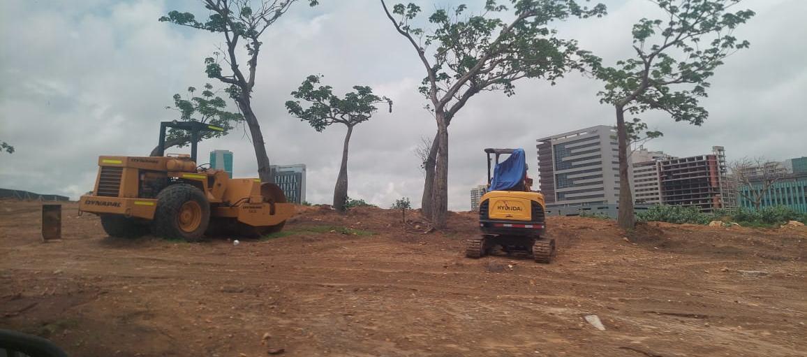 "¿Cuántas hectáreas quedan sin arrasar en Mallorquín?"