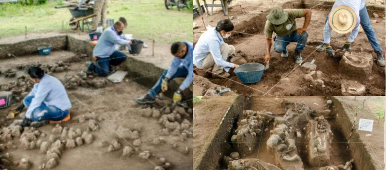 Imágenes de los hallazgos.