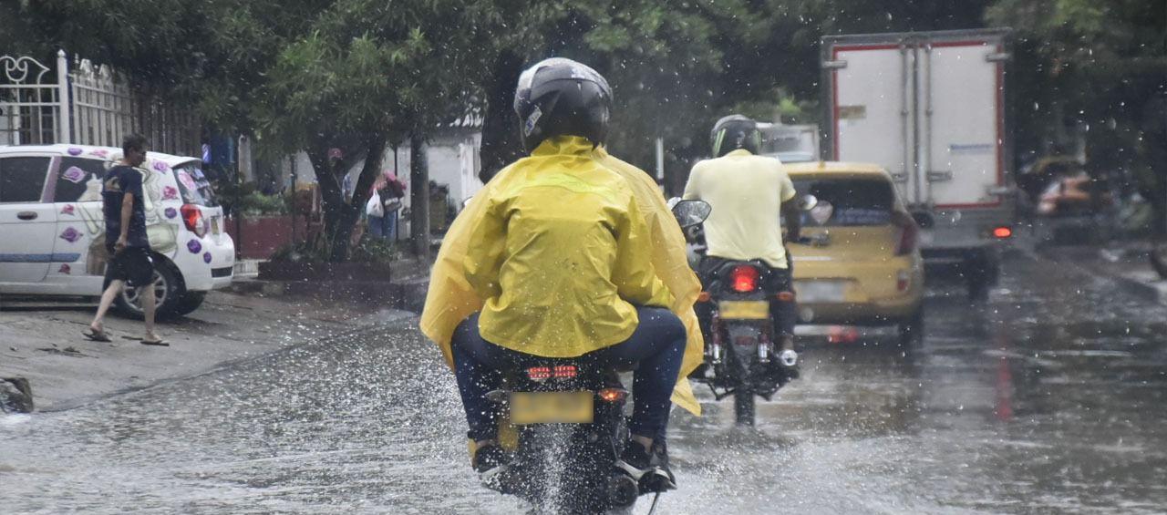 Imagen de referencia.