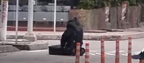 Miembro del Escuadrón Antiexplosivos interviniendo la maleta.