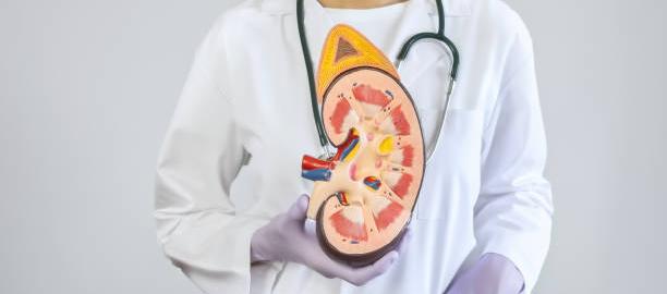 Asociación de Nefrología lanzó alerta.