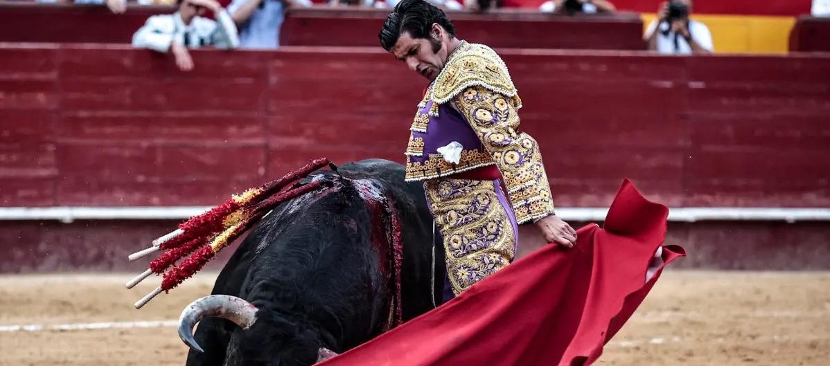 Corrida de toros,  novilladas y el rejoneo quedan prohibidos. 