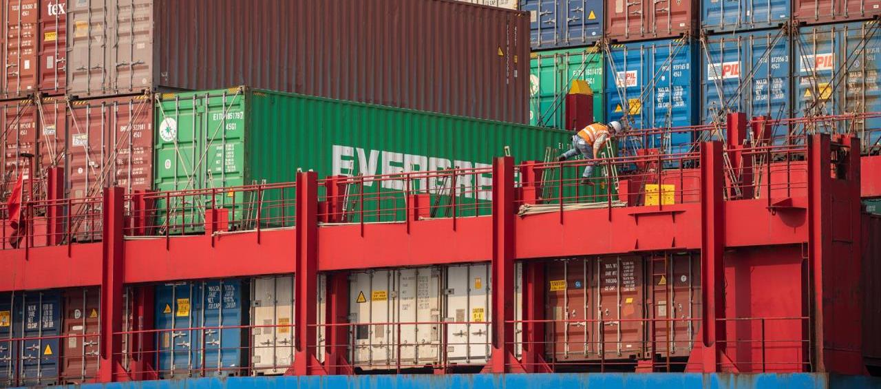 Imagen de referencia.