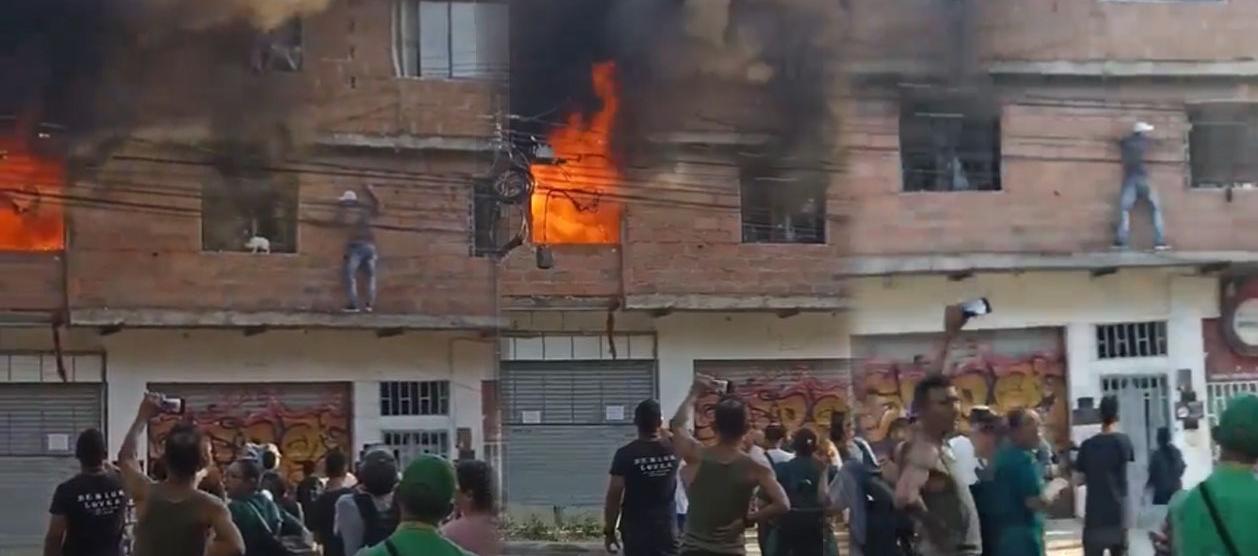 Hombre rescató 10 gatos.