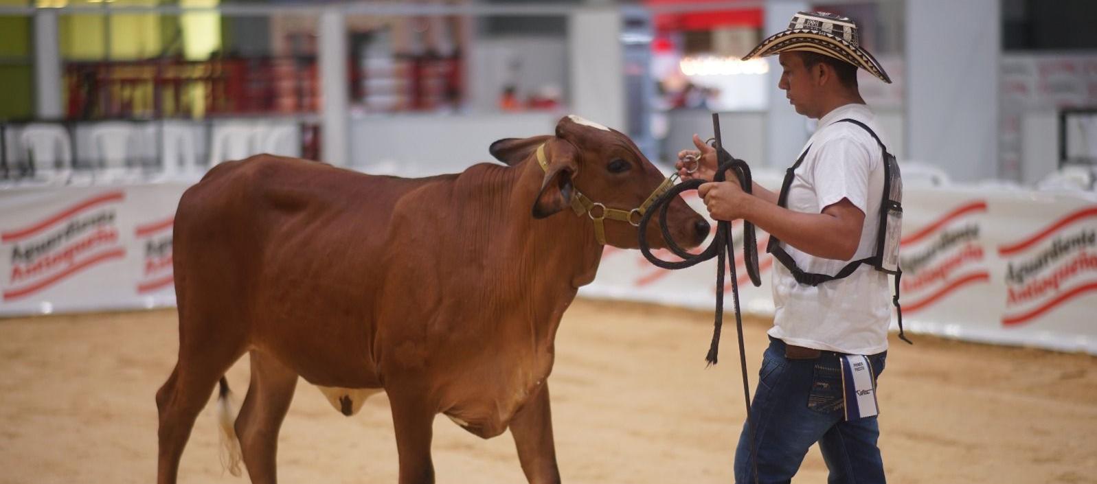 La feria principal del sector agropecuario.