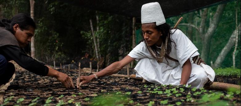 Pueblo indígena Arhuaco. 