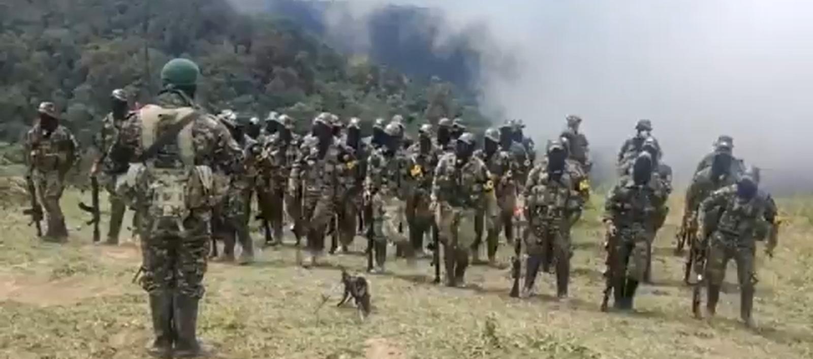 Autodefensas Conquistadores de la Sierra Nevada. 