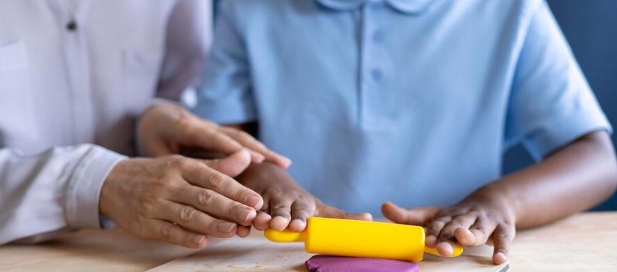 Imagen de referencia.