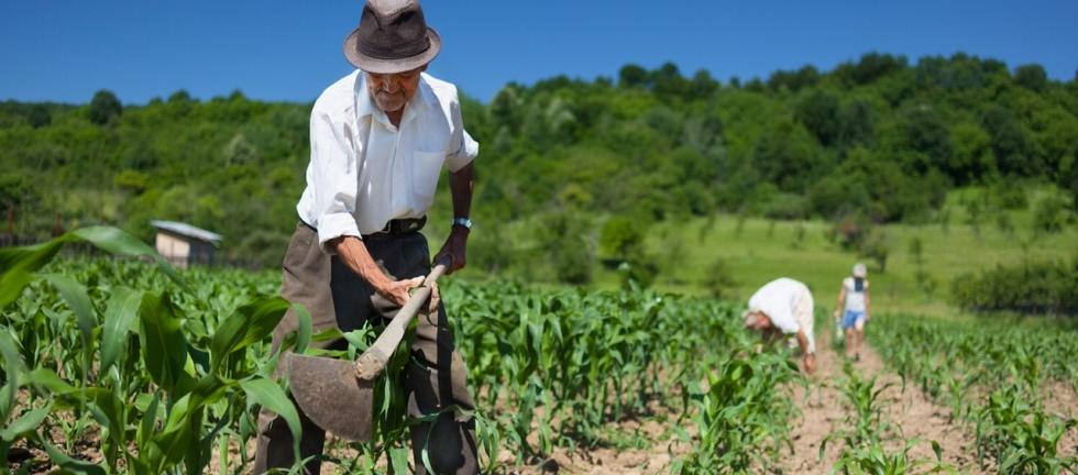 Imagen referencia campo colombiano.