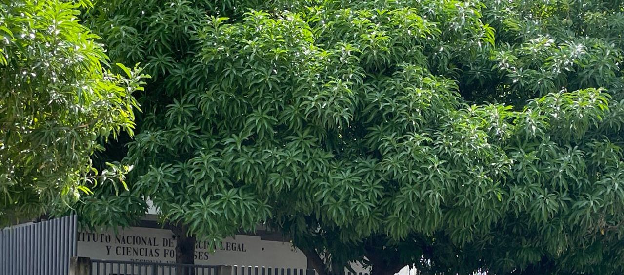 Los cuerpos de las víctimas fueron trasladados a Medicina Legal. 