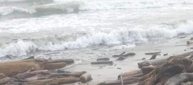 Playas de Punta Roca. 