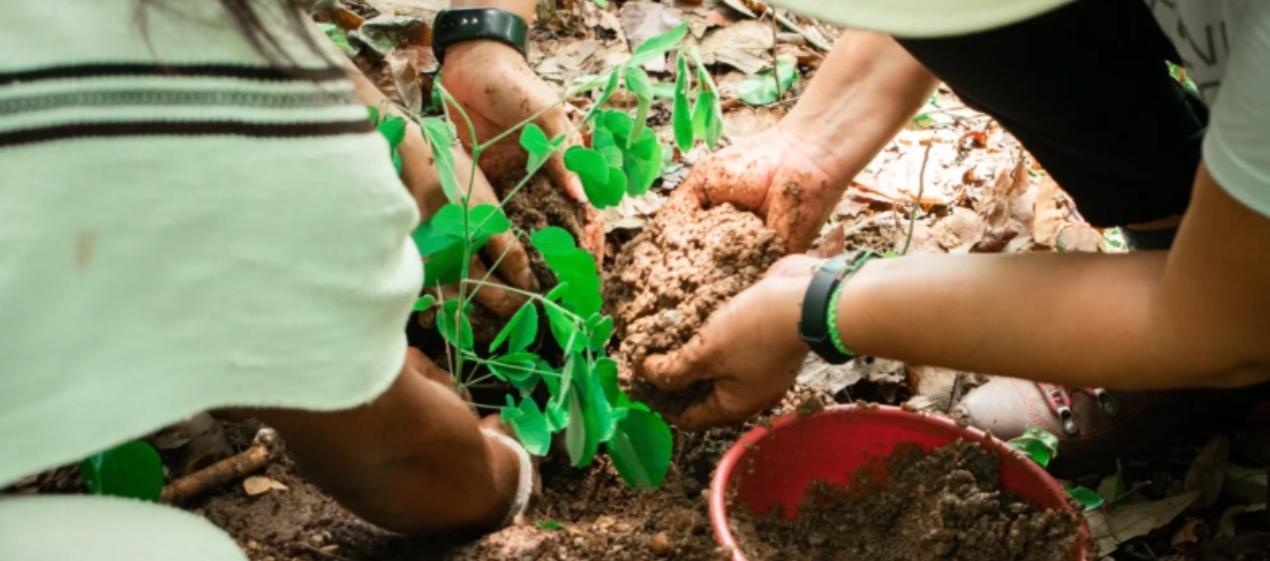 Los proyectos deben estar enfocados en combatir el cambio climático. 