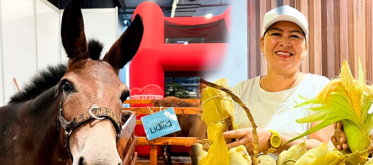 Primer día de Agroexpo Caribe.