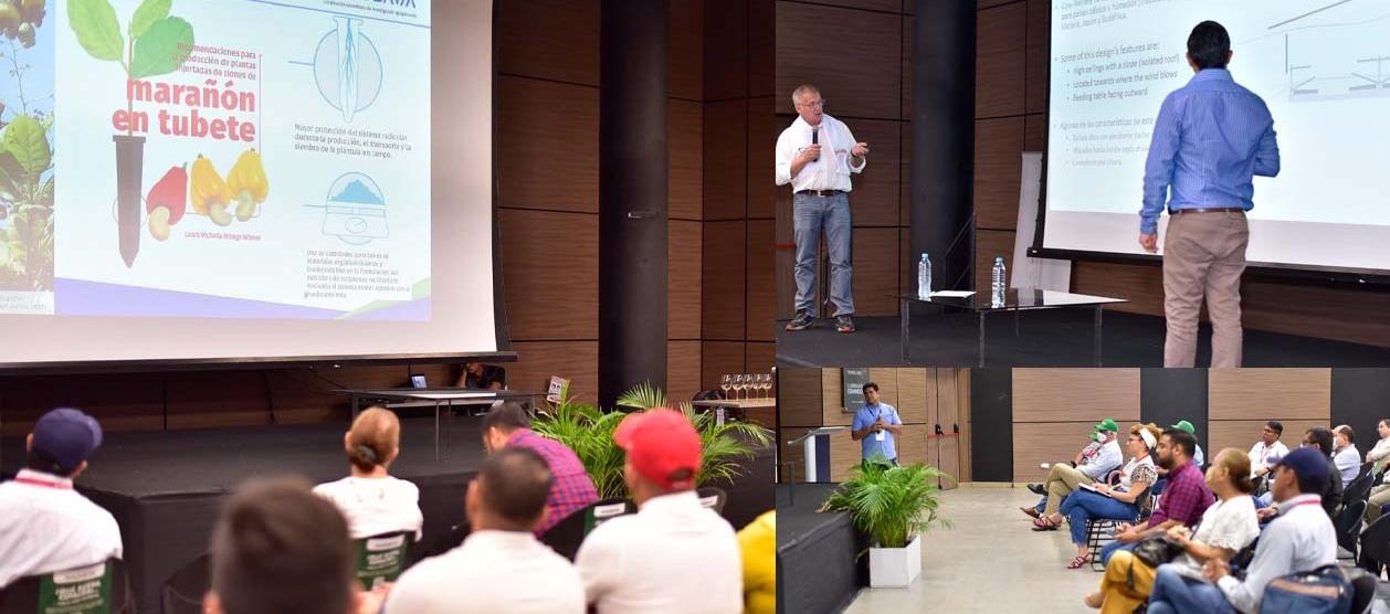 Agroexpo Caribe celebrará su edición N°4.