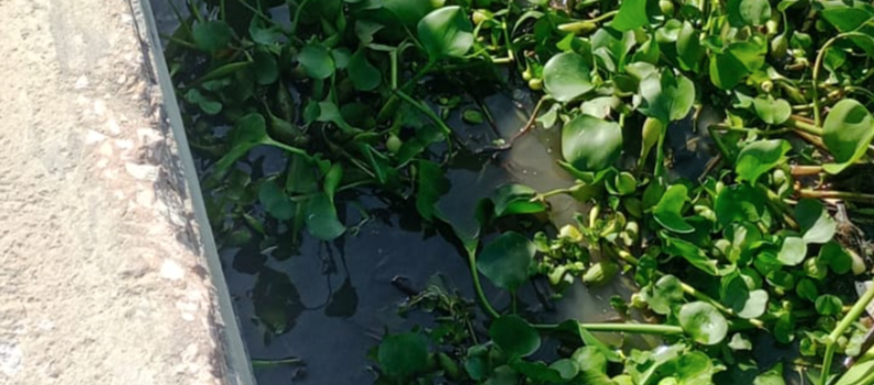 Fue encontrado en la Vía 40 con carrera 79. 