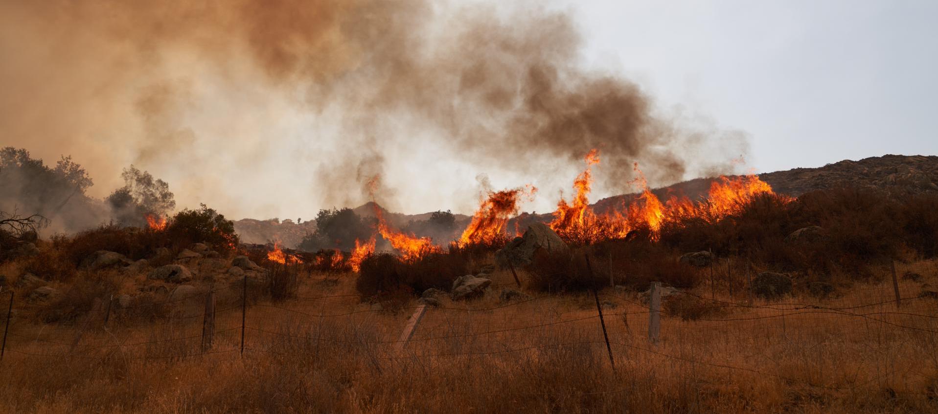 Terreno en llamas en California.