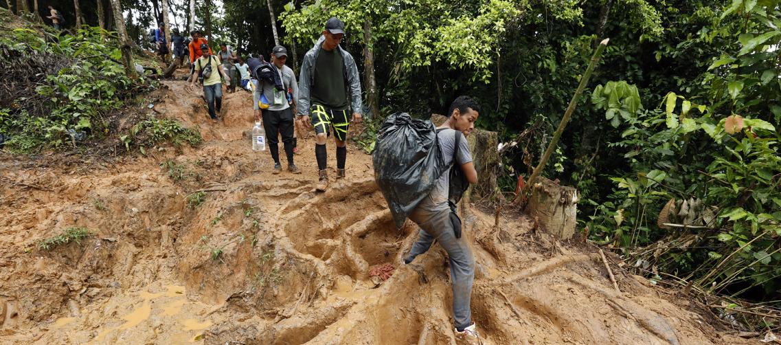  Imagen de referencia.