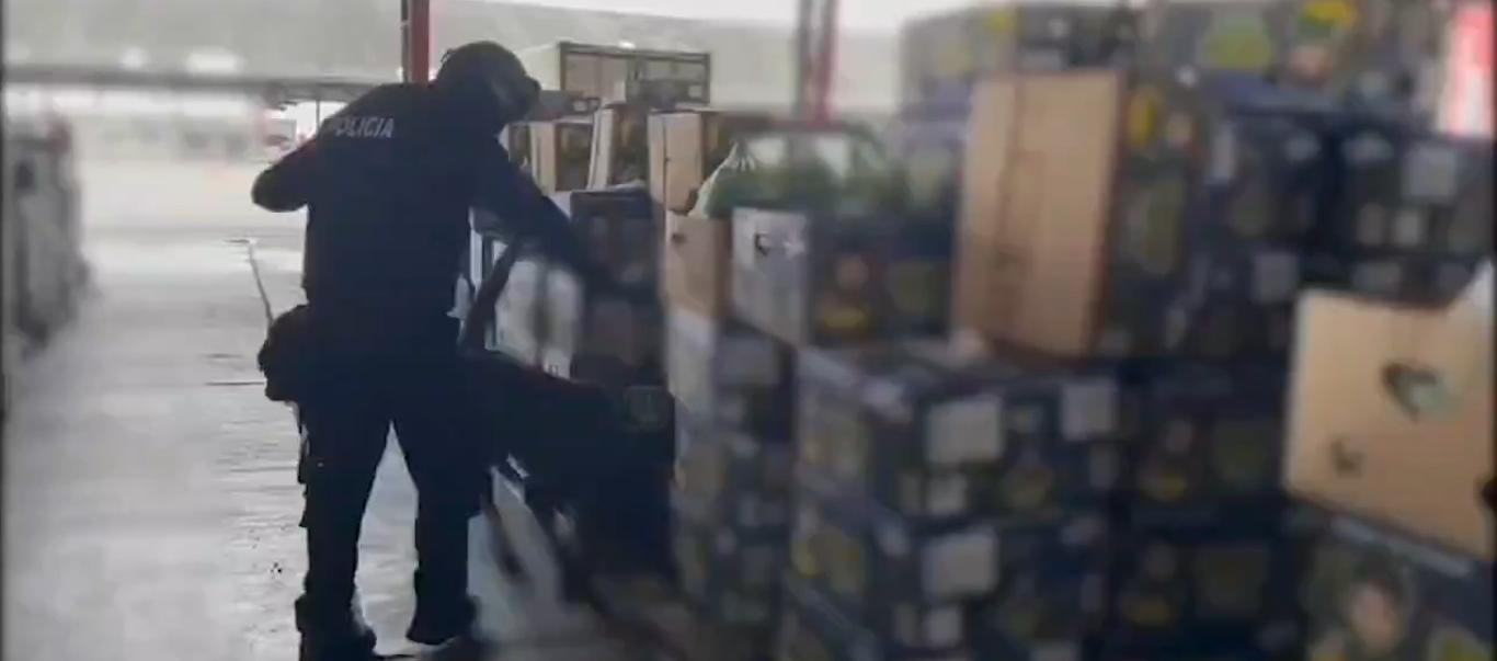 Droga incautada por la Policía de Ecuador. 