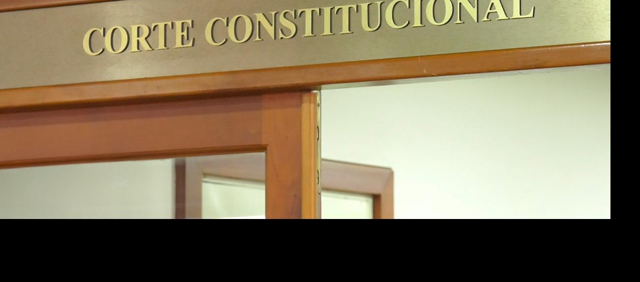 Corte Constitucional.