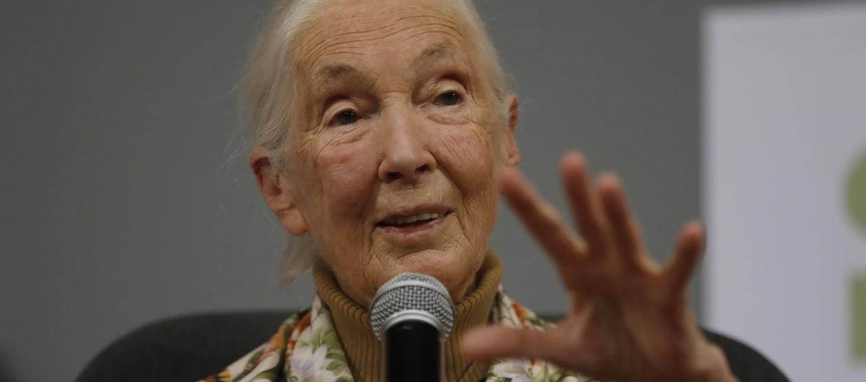 La primatóloga y activista británica Jane Goodall.