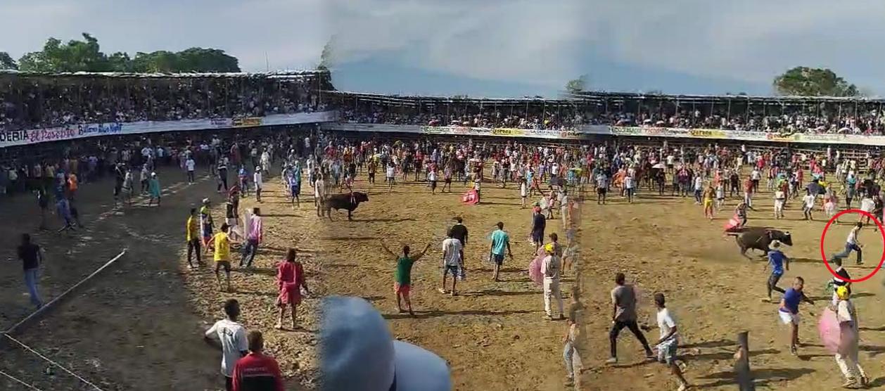 Momento del ataque del toro a un asistente a la corraleja. 
