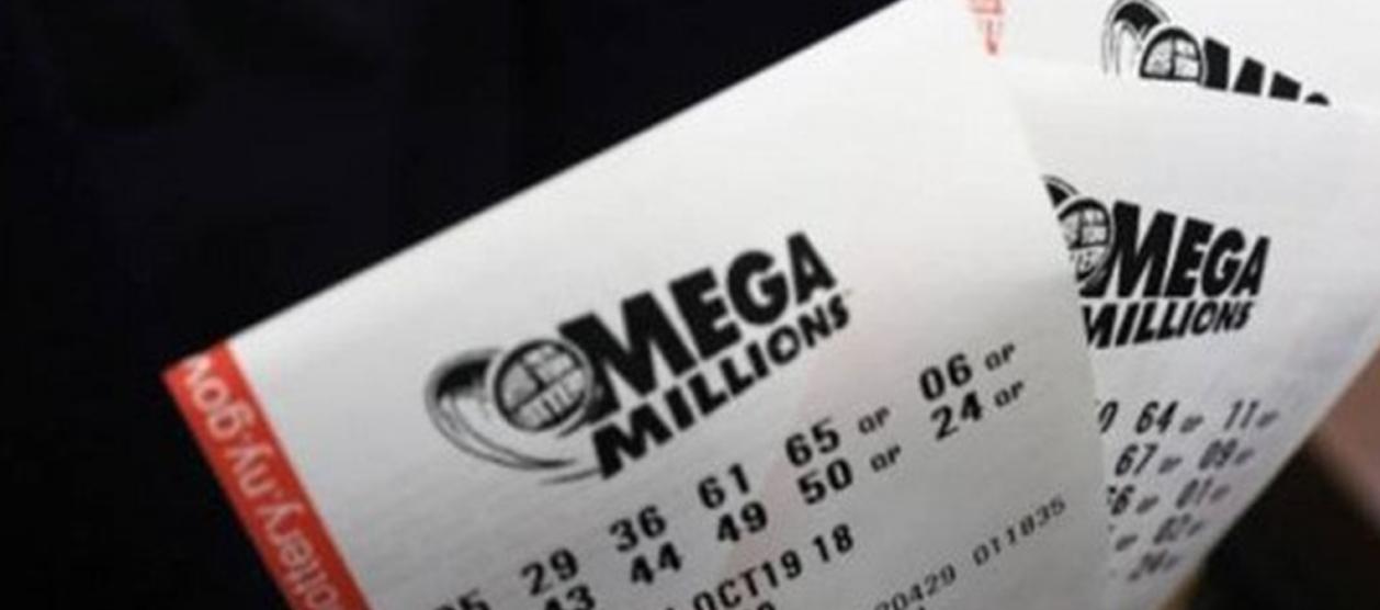  Imagen de referencia.