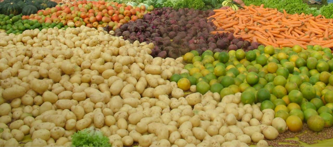 Imagen de referencia.