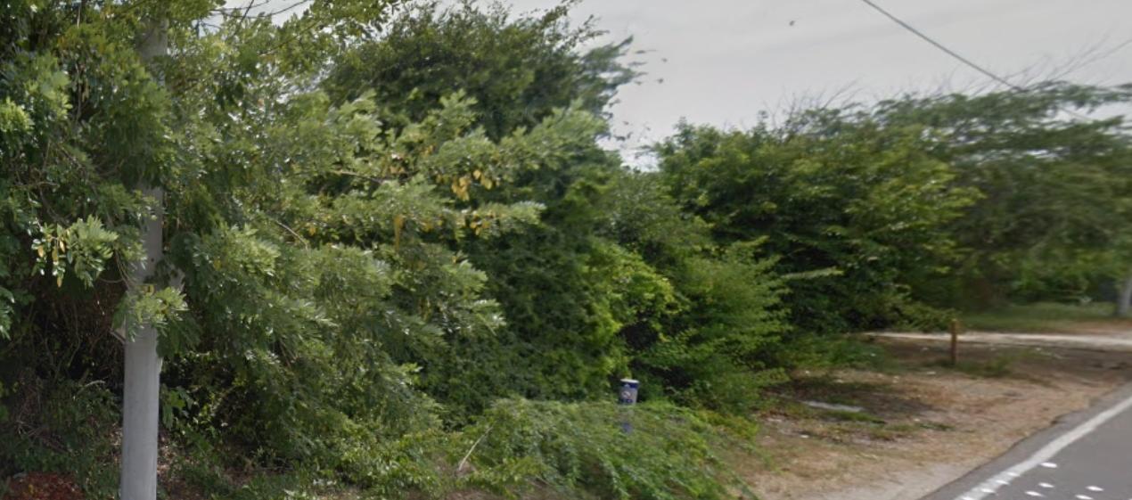 Zona enmontada en la vía a Sabanilla, en Puerto Colombia. 