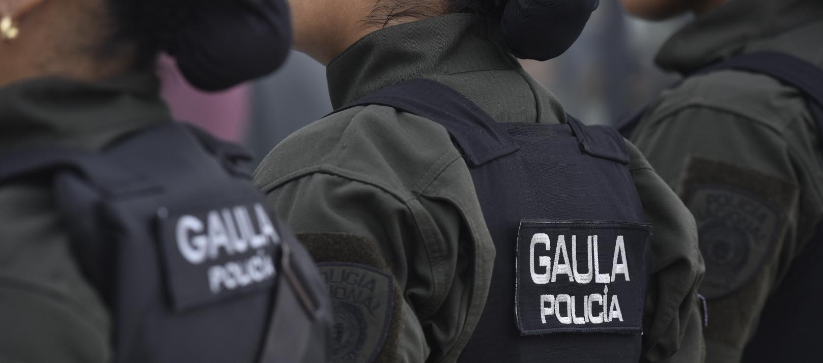 Personal del Gaula en formación